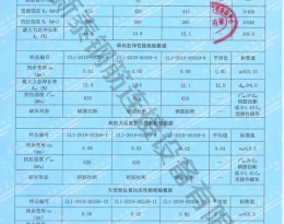 檢驗(yàn)報(bào)告